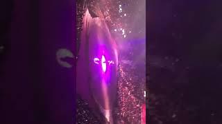 張敬軒 - My Way(普通話+廣東話) (張敬軒 演唱會 2018-06-16)