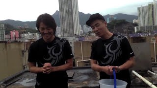 歲月友情 鄭伊健 Ice Bucket Challenge YouTube 影片