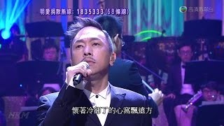 黃家強 - 海濶天空 (明愛暖萬心 2015) YouTube 影片